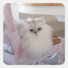 Weiße persische Katze auf einem rosa Stuhl Sticker