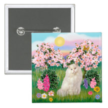 Weiße persische Katze - Blüten Buttons