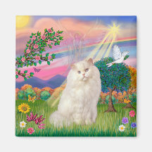 Weiße persische Katze - Wolken-Engel Kühlschrankmagnet