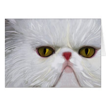 Weiße persische Katzen-Karte