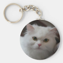 Weiße persische Miezekatze Schlüsselband