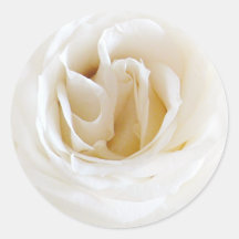 Weiße Rose - Snowy Runder Aufkleber