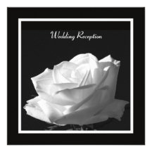 Weiße Rosen-Hochzeits-Empfangs-nur Einladung