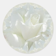 Weiße Rosen Runder Sticker