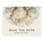 Weiße Rosen-Save the Date Postkarte