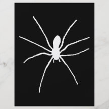 Weiße Spinne Individuelle Flyer