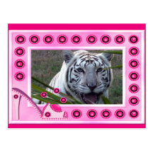 Weiße Tiger-Postkarte