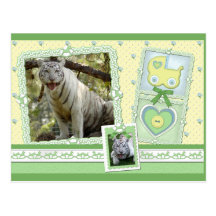 Weiße Tiger-Postkarte