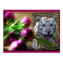Weiße Tiger-Postkarte