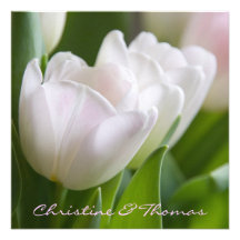 Weiße Tulpen • Save-the-Date-Postkarte Ankündigung