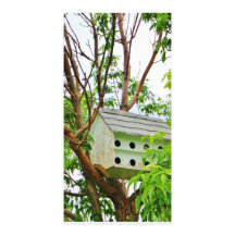 Weißer Birdhouse in einem Baum Personalisierte Photo Karte