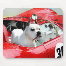 Weißer Boxer-Hund in Maserati mousepad