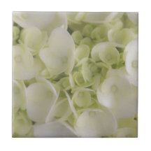 Weißer Hydrangea Fliesen