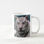 Weißer Tiger, Becher tassen