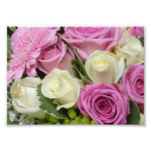 Weißer und rosa Rosen-Foto-Druck