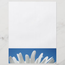 Weißes Gänseblümchen-Blumen-Flyerpapier blauer Him