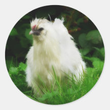 Weißes Huhn im grünen Gras Aufkleber