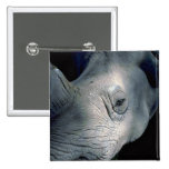 Weißes Nashorn-Kopf Button