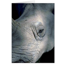 Weißes Nashorn-Kopf Grußkarte