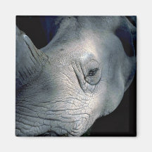 Weißes Nashorn-Kopf Magnets