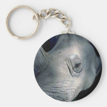 Weißes Nashorn-Kopf Schlüsselbänder