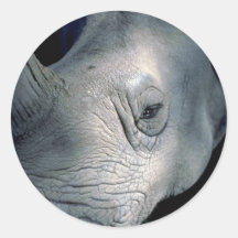 Weißes Nashorn-Kopf Sticker
