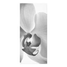Weißes Orchideen-Hochzeits-Programm Bedruckte Werbekarte