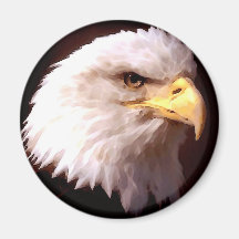 Weißkopfseeadler-Amerikaner Eagle Kühlschrankmagnete