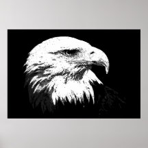 Weißkopfseeadler-Plakat-Druck-Eagles-Plakate BWs a