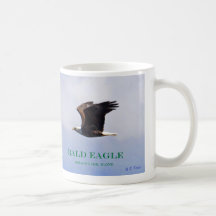 Weißkopfseeadlerbaby, -Eagle und -mamma im Flug Kaffee Tasse