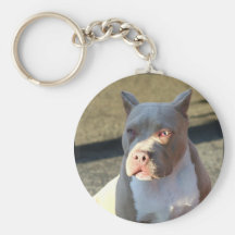 Welpe amerikanischen Staffordshires Terrier keycha Schlüsselbänder
