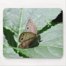 Wenig hölzerner Satyr (Megisto cymela) Mousepad