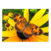 Wenig Schmetterling ~ ATC Visitenkarten