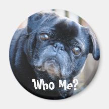 Wer ich? Magnet Kühlschrankmagnete