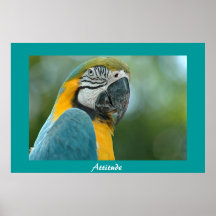 Wer ich? plakate