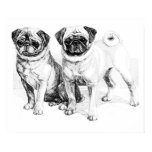 Wertvolle Mops-Schwarzweiss-Illustrations-Plakat poster