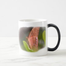 Wertvoller Schmetterling Kaffee Tassen