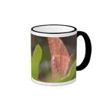 Wertvoller Schmetterling Tassen