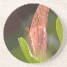 Wertvoller Schmetterling Untersatz
