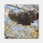Wespe-Nest! Yikes! Kühlschrankmagnet