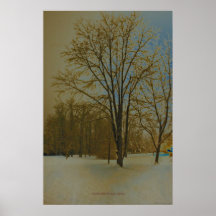 West Virginia im Schnee Plakatdrucke