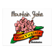 West- VirginiagebirgsStaats-Rhododendron Postkarte