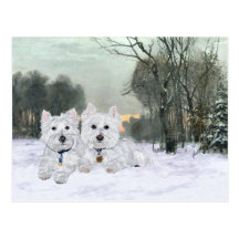 Westies in der Winterzeit Postkarte