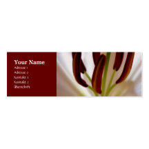 White Lily Visitenkarte
