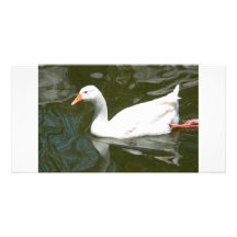 WhiteDuck Fotokarte