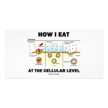 Wie ich esse auf dem zellulären Niveau (Endocytosi Fotokartenvorlagen