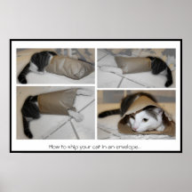 Wie man Ihre Katze in einem lustigen Druck des Ums Posterdruck