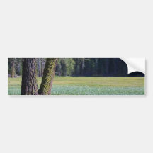 Wiesen-Moos-Bäume Auto Sticker