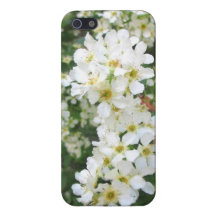Wild, white flowers from Sweden. Cases For iPhone 5