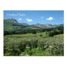 Wildblumen in Butte mit Haube Postkarte
